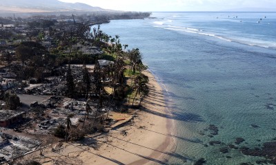 Jak pomóc ofiarom pożarów na Hawajach? 