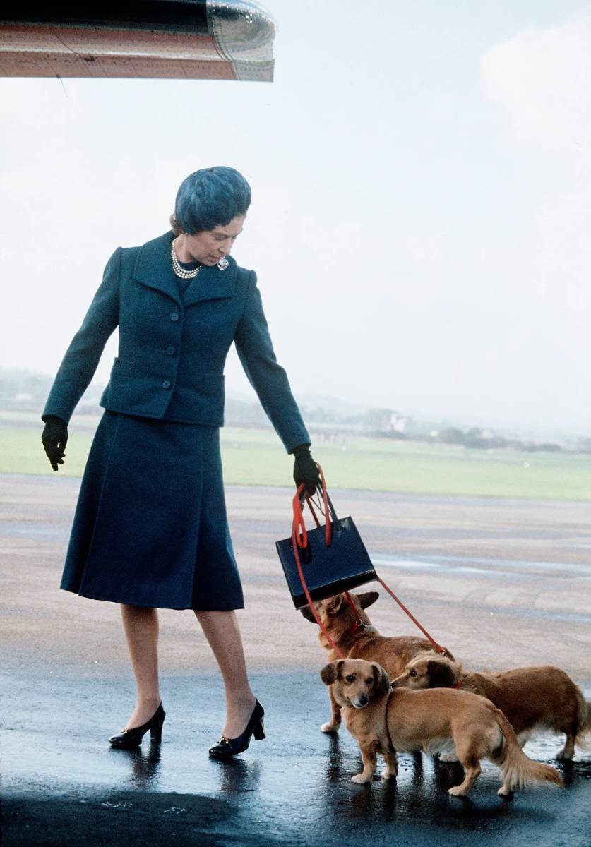 W towarzystwie psów corgi w 1974 roku (Fot. Getty Images)