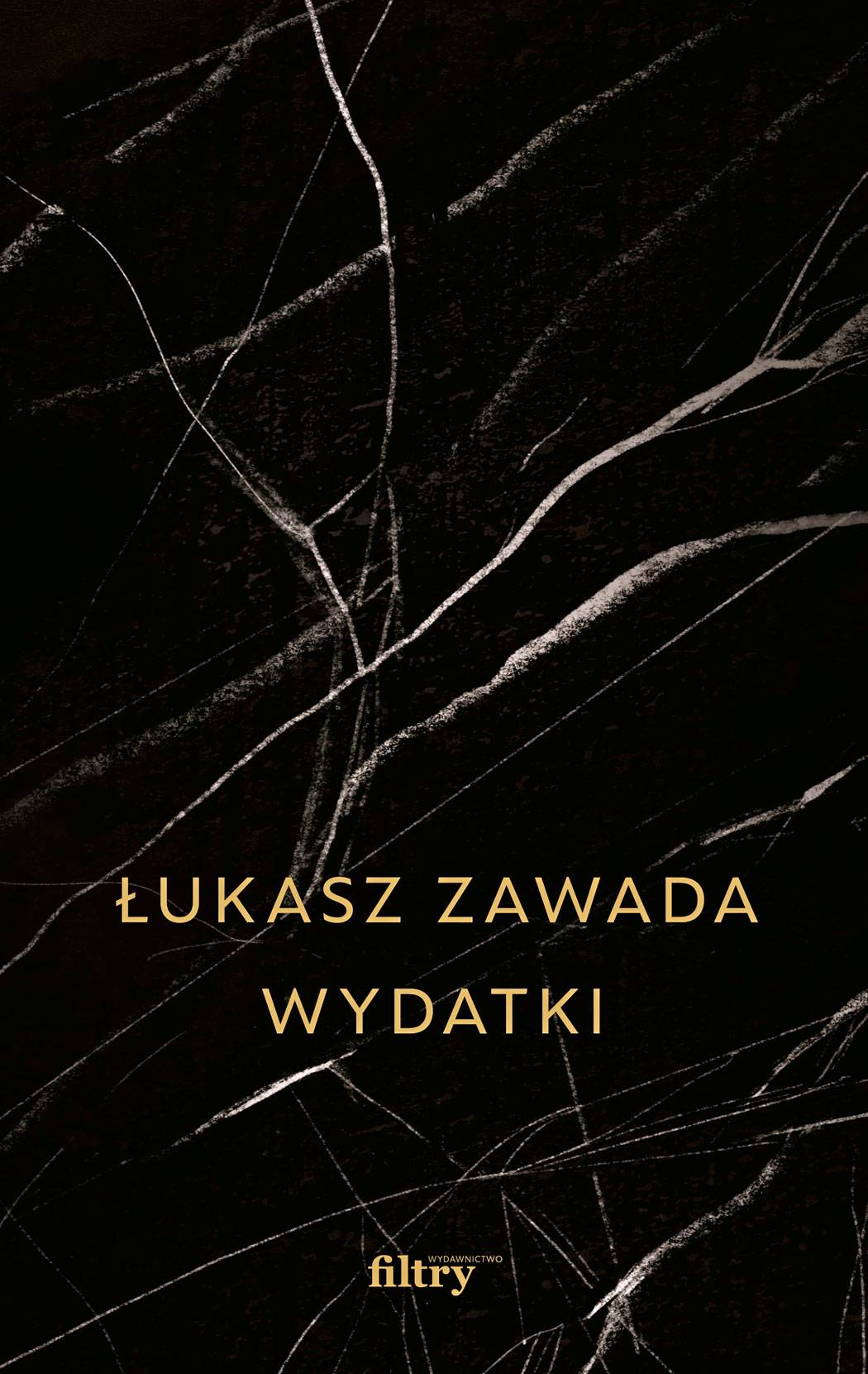 „Wydatki” Łukasz Zawada (Fot. Materiały prasowe)