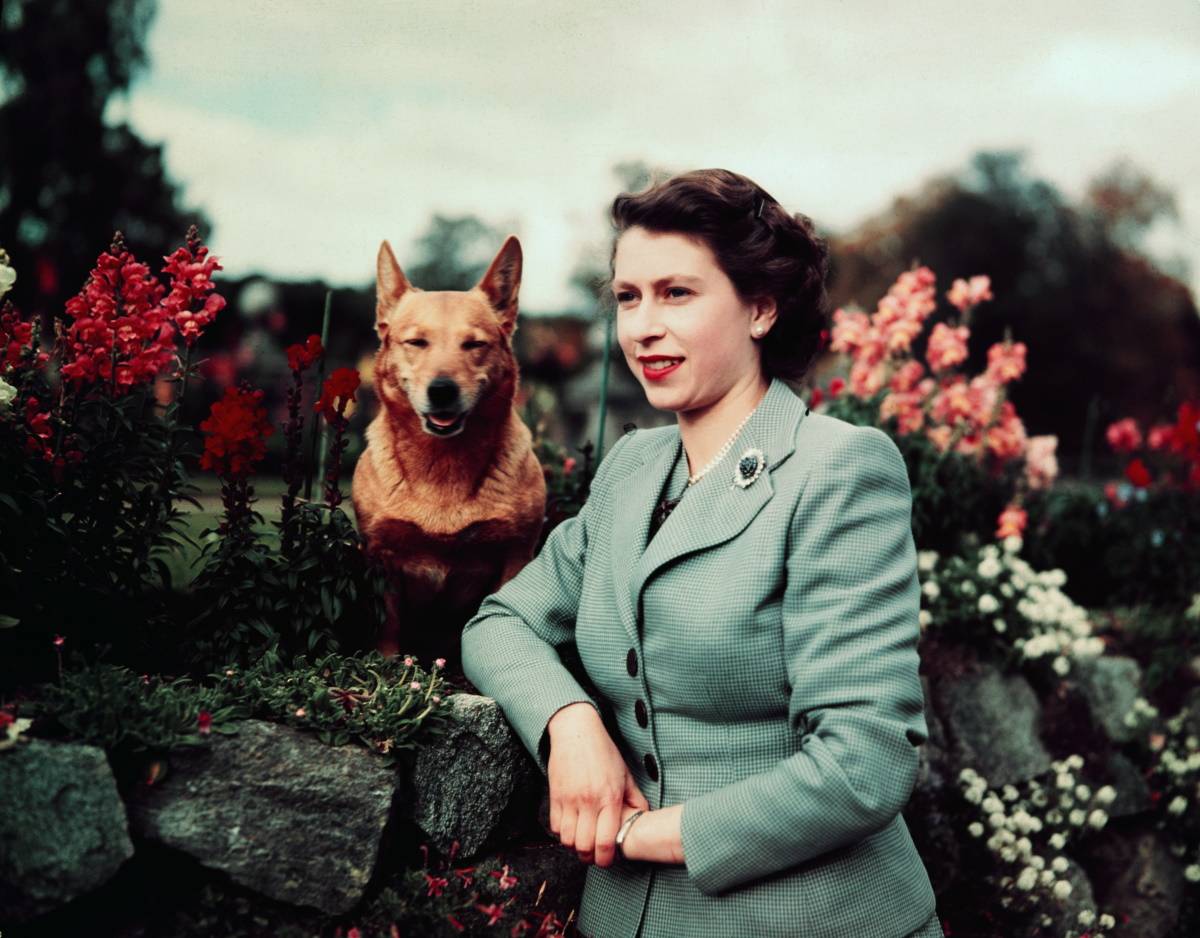 Królowa Elżbieta II, 1952 rok (Fot. Getty Images)