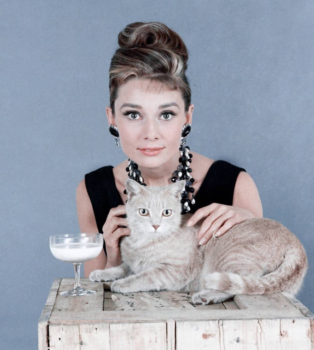 Audrey Hepburn (Fot. Getty Images)