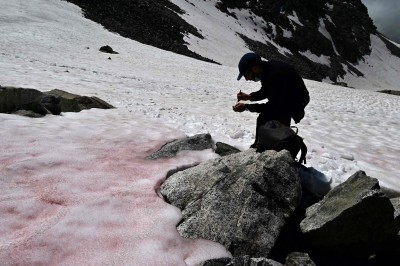 Alpy pod różowym śniegiem