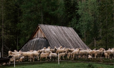„Vogue Polska Travel”: Tatry. Podhalańskie dziedzictwo