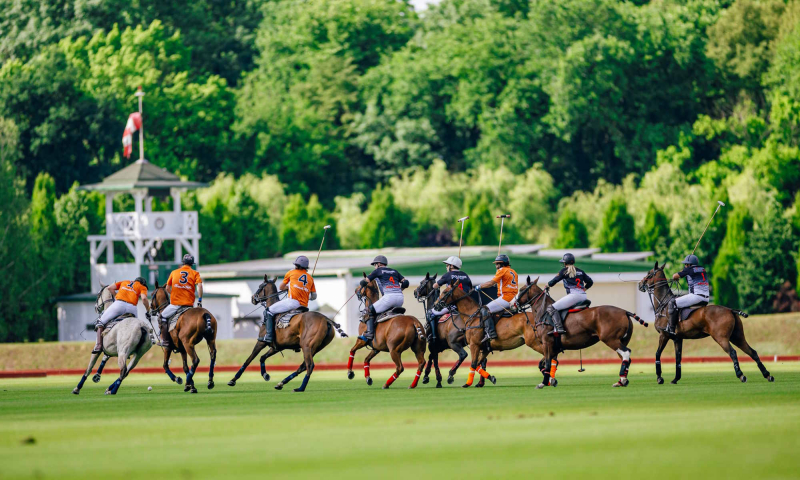 Europejskie polo w Polsce: Nowe oblicze gry królów