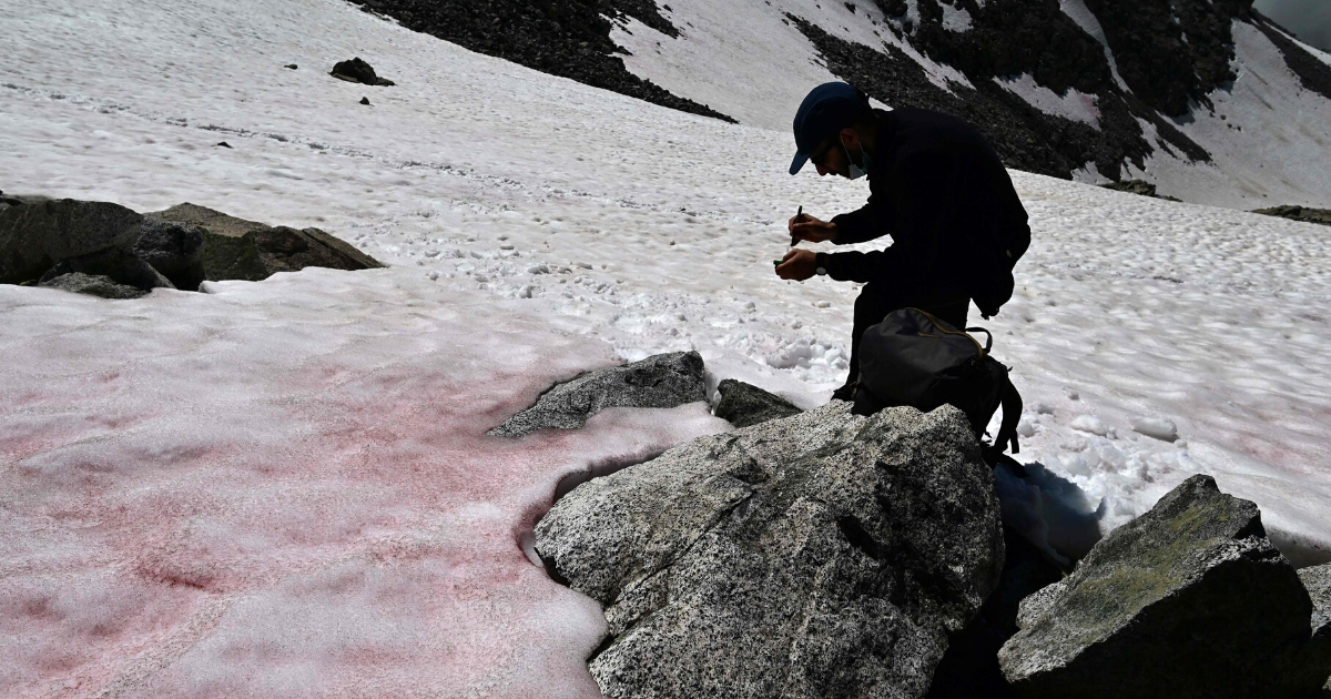 Alpy pod różowym śniegiem