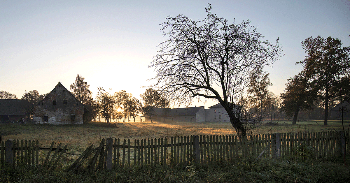 „Domy bezdomne”: Dom trwa tylko wtedy, gdy jest zamieszkany