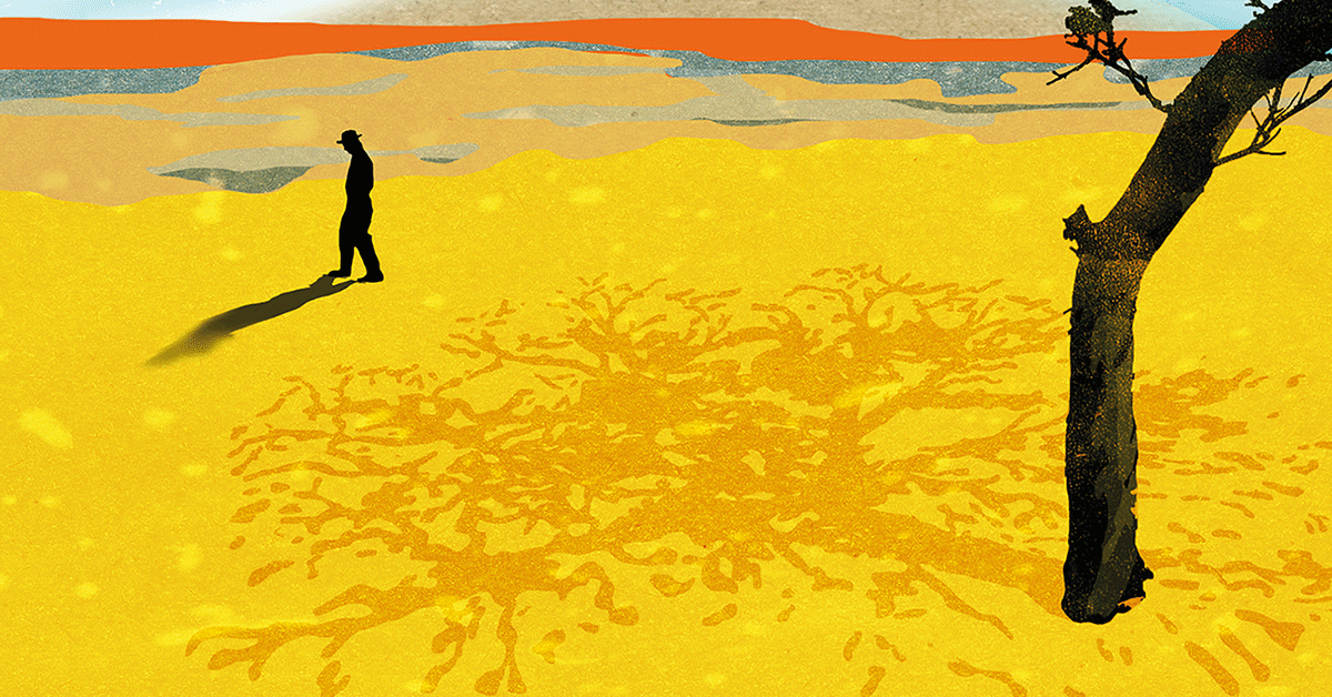 Flannery O’Connor: Pod płaszczykiem prostoty