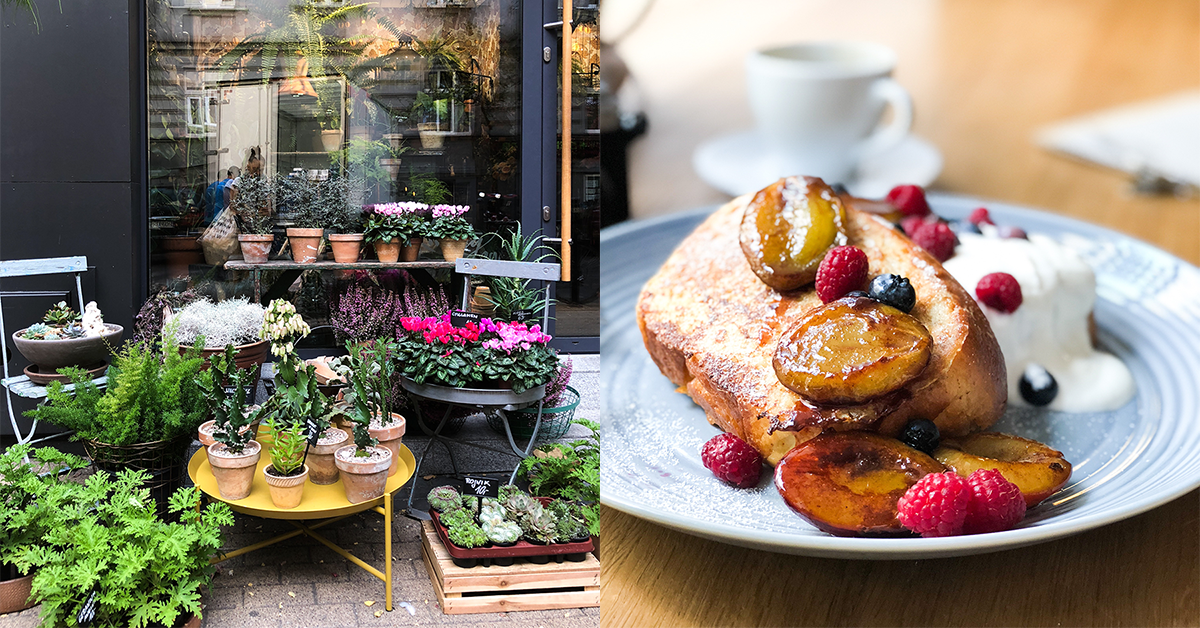 Minta zjada... Poznań