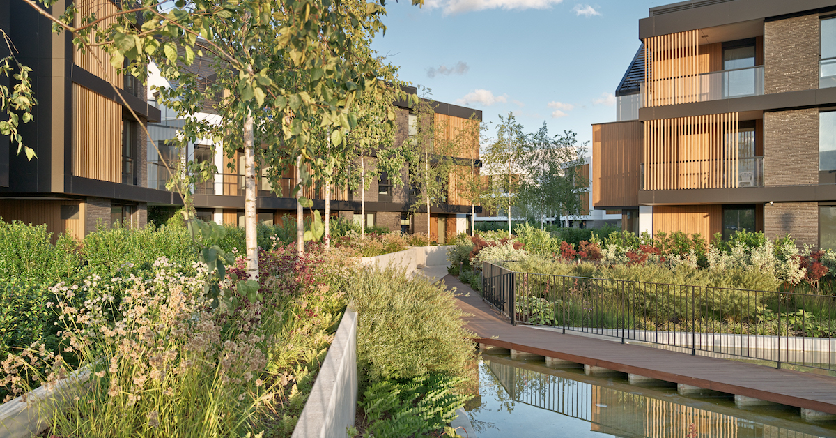 Osiedle Botanica Jelitkowo: Morze zieleni