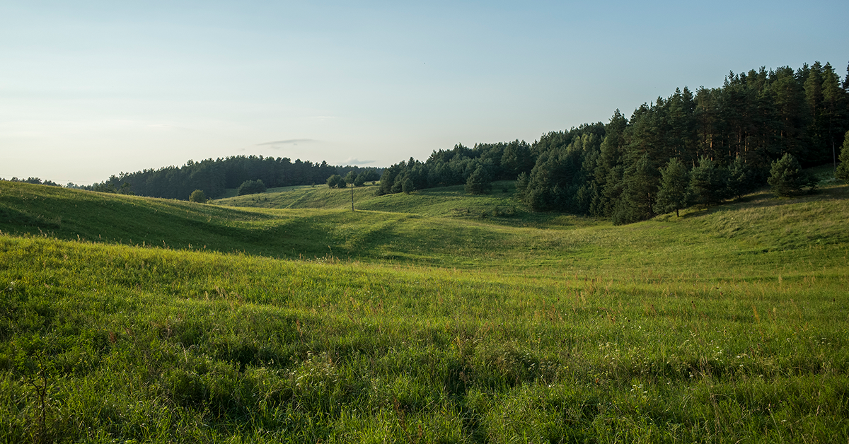 Springer szuka ciszy: Obrońcy ciszy