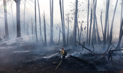 Raport Międzyrządowego Panelu do spraw Zmian Klimatu: Możemy się uratować, ale to ostatni moment