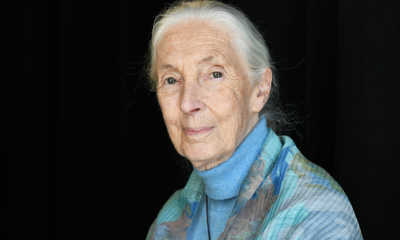 Justyna Kopińska: Jak Jane Goodall zmieniała świat na lepsze 
