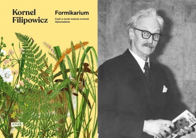 Książka tygodnia: Kornel Filipowicz „Formikarium. Czyli o moim świecie mrówek”