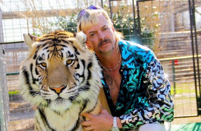 Tiger King: Znerwicowany stręczyciel tygrysów