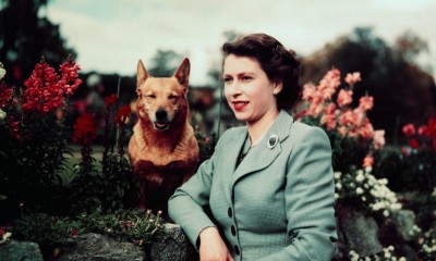 Elżbieta II w otoczeniu ukochanych psów i koni