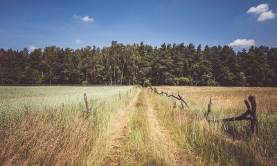 Książka „Kamienie musiały polecieć” odkrywa bolesną historię Podlasia