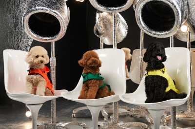 Moncler x Poldo Dog Couture: Moda dla czworonogów