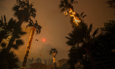 Sześć dystopijnych powieści które pokazują świat na krawędzi