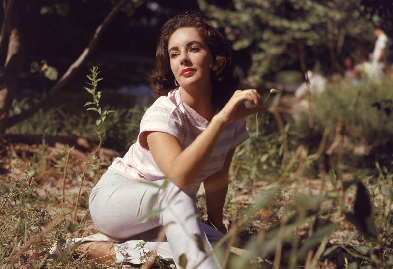 Niezapomniana Elizabeth Taylor