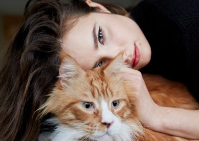 „O kotach”: Zwierz doskonały