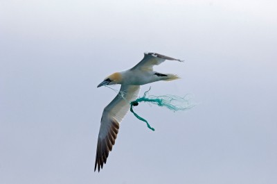 Zostanie po nas plastik