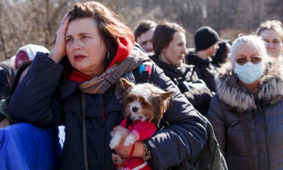 Pomoc dla zwierząt z Ukrainy
