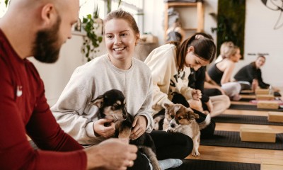 Puppy yoga: Dogoterapia na macie