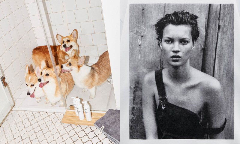 Redakcja poleca: „Icons by Peter Lindbergh”, Berty, „Biały lotos”