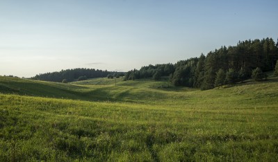 Springer szuka ciszy: Obrońcy ciszy