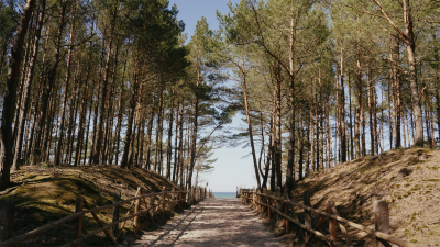 Zbliżenie z naturą: Polski Bałtyk jak z pocztówki