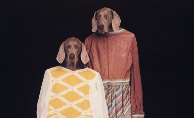 William Wegman: Portrecista psów