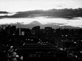 (Fot. Daido Moriyama)