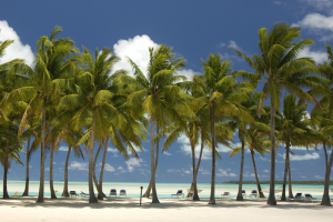 Wyspy Cooka, Fot. Getty Images