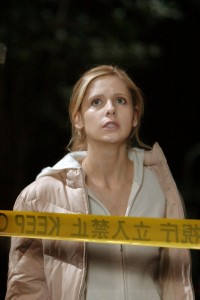 Sarah Michelle Gellar w Grudge, Fot. Rex Features