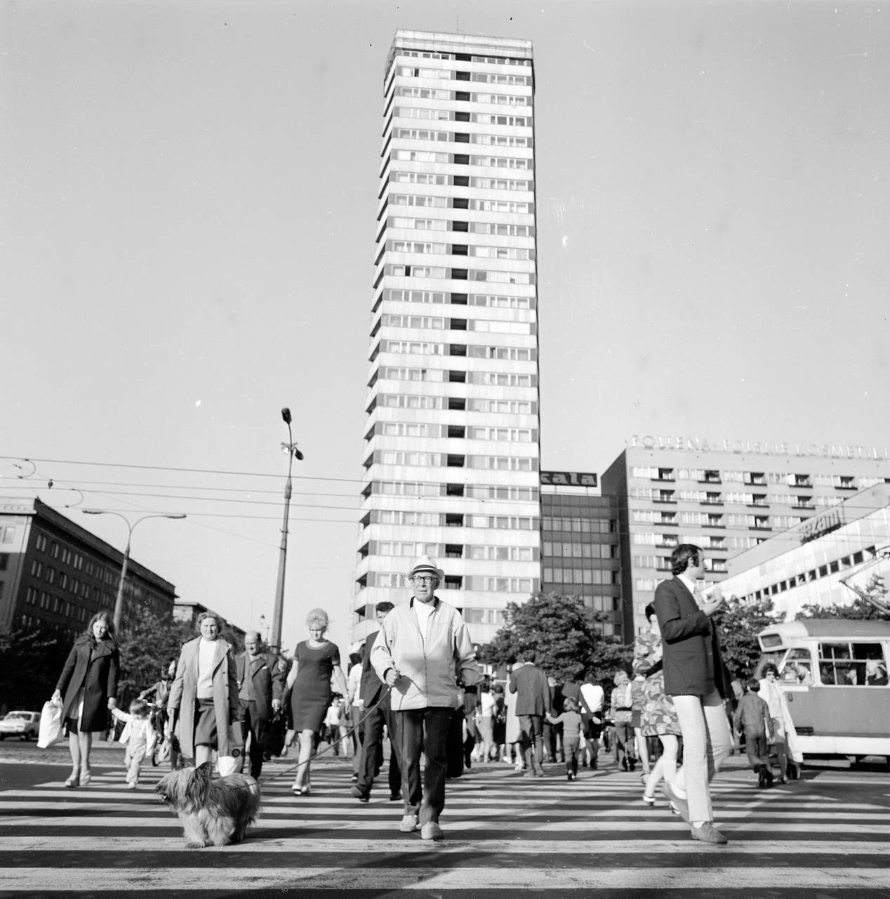 Fot. Siemaszko Zbyszko/ Narodowe Archiwum Cyfrowe