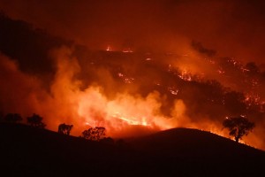 Pożary buszu w Australii, (Fot. Getty Images)