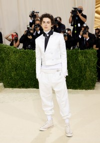 Timothee Chalamet, (Fot. Getty Images)
