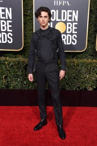 Timothée Chalamet w Louis Vuitton, fot. Getty Images