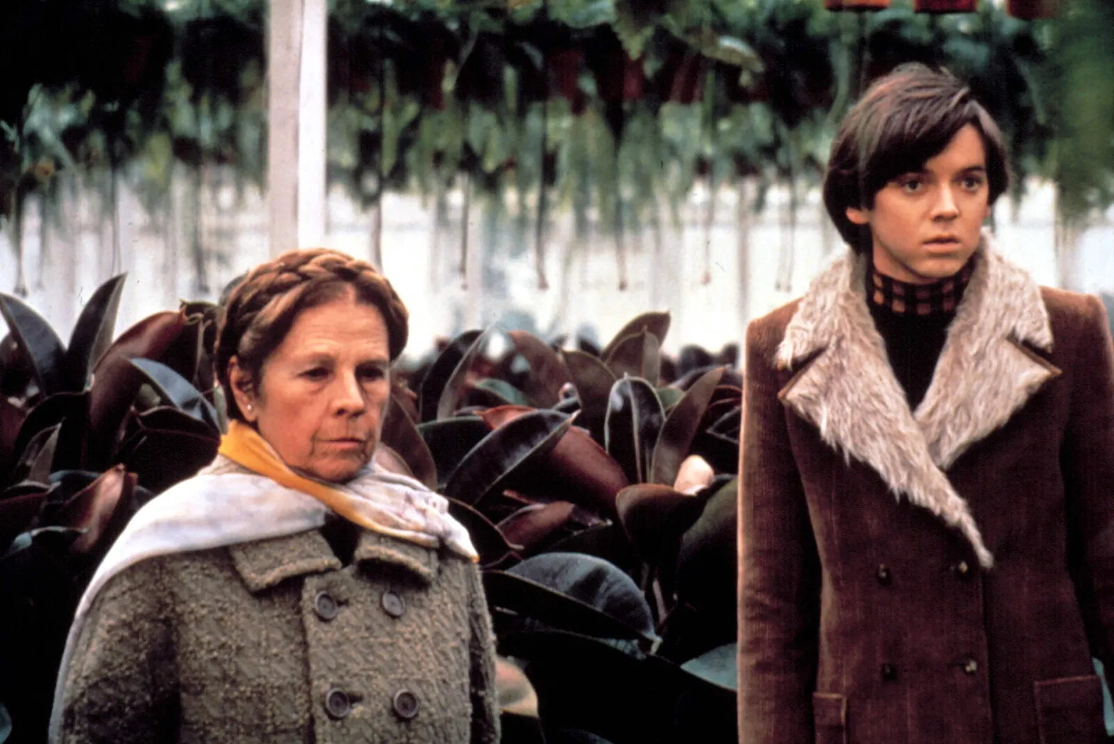 „Harold i Maude” (1971)