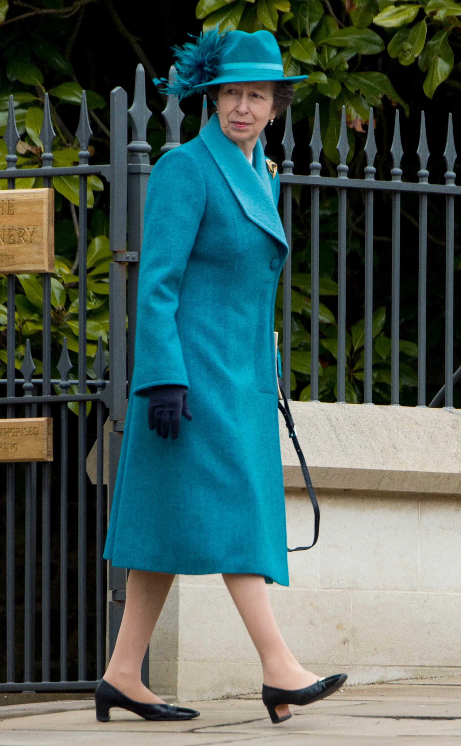 Księżniczka Anna w 2018 r.