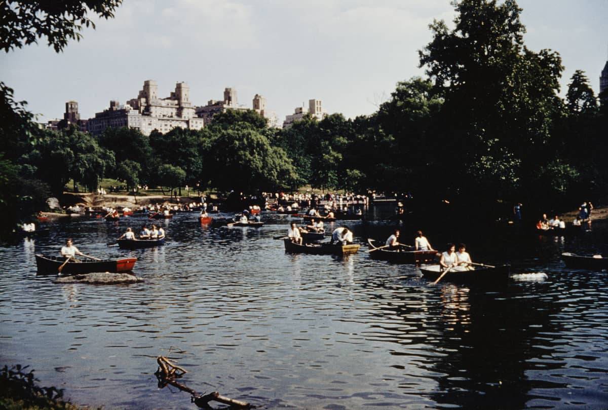 Harvey Meston/Archive Photos/Getty Images