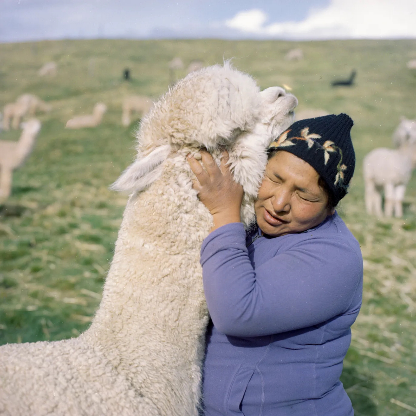 Alejandra Orosco, Peru