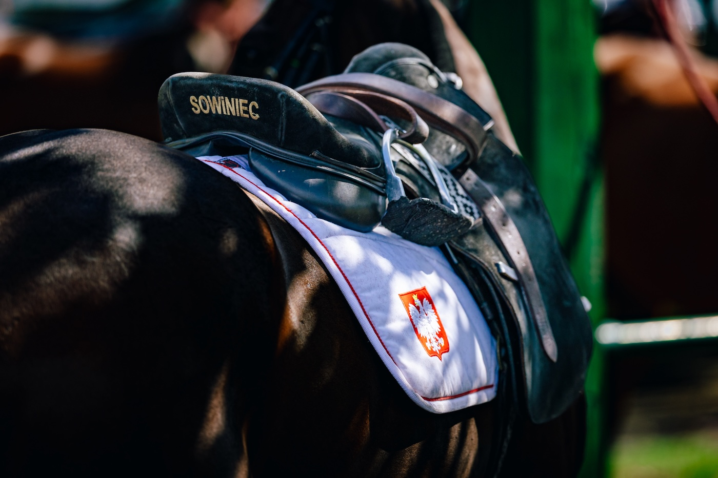 Gospodarzem turnieju był Sowiniec Polo Club pod Poznaniem