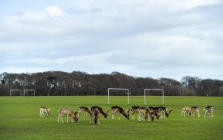 (Fot. Brendan Moran/Sportsfile via Getty Images) 