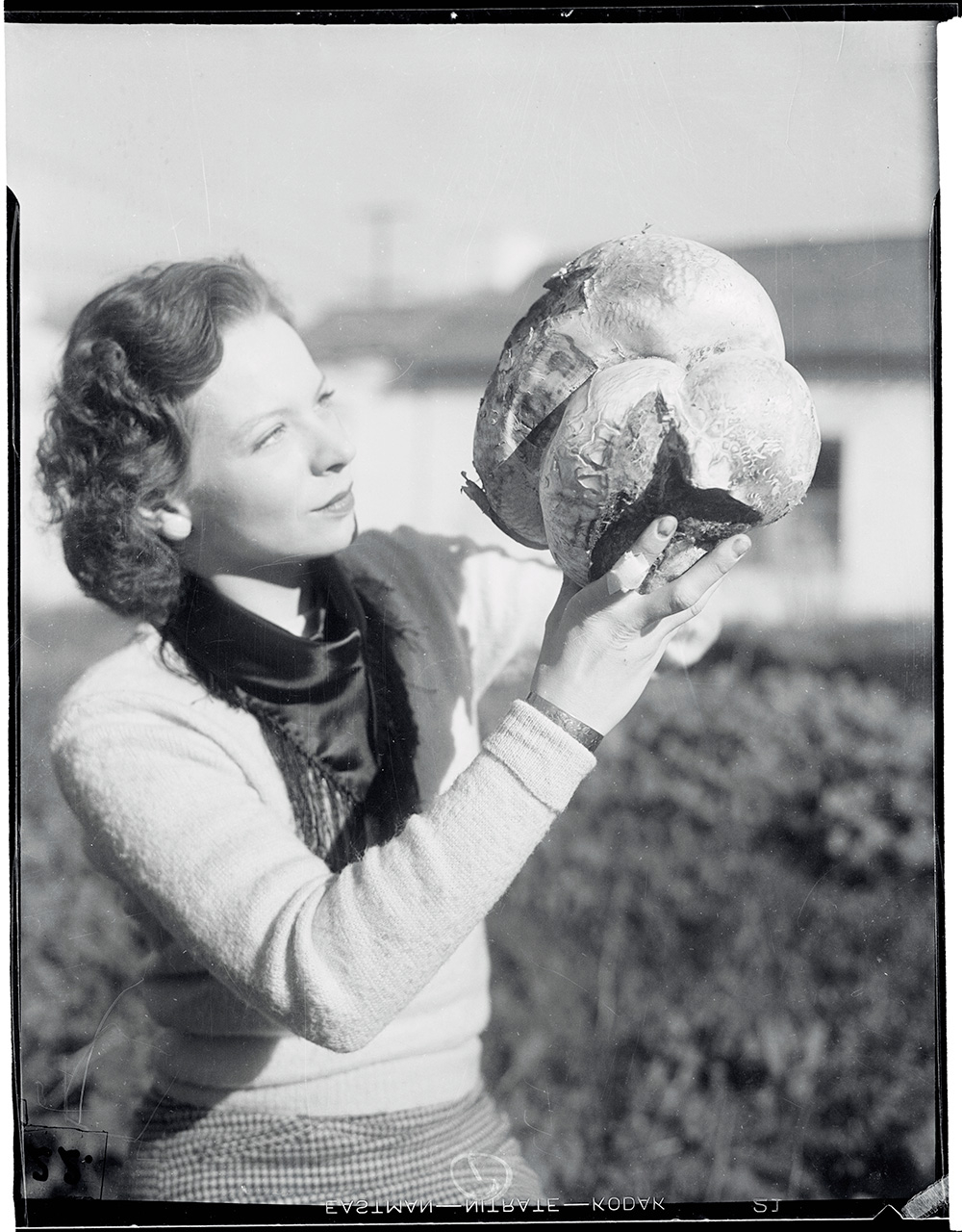 Fot. Bettmann / Contributor