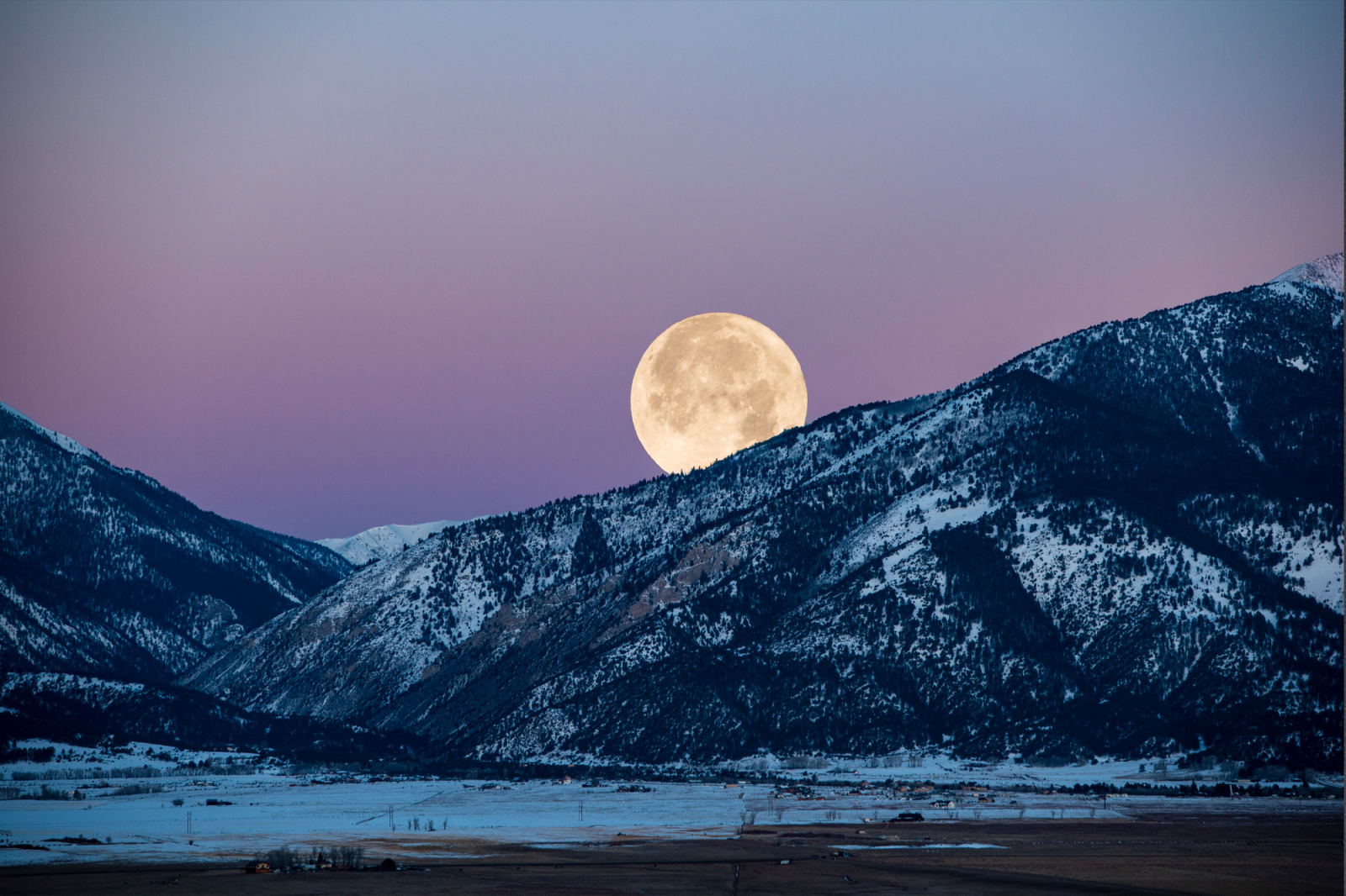 Fot. Brad McGinley Photography