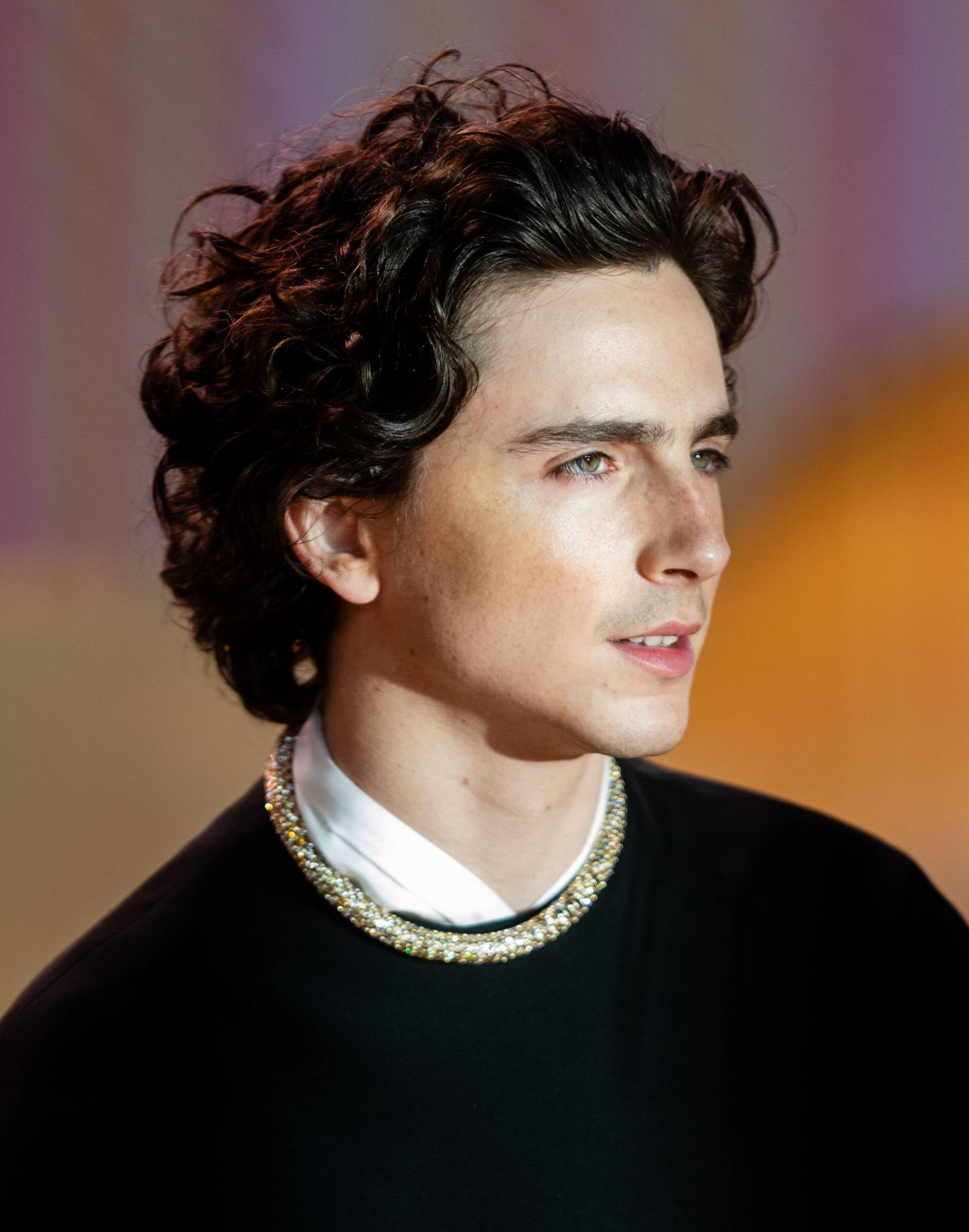 Timothée  Chalamet gra Paula Atrydę w drugiej części „Diuny” (Fot. Getty Images)