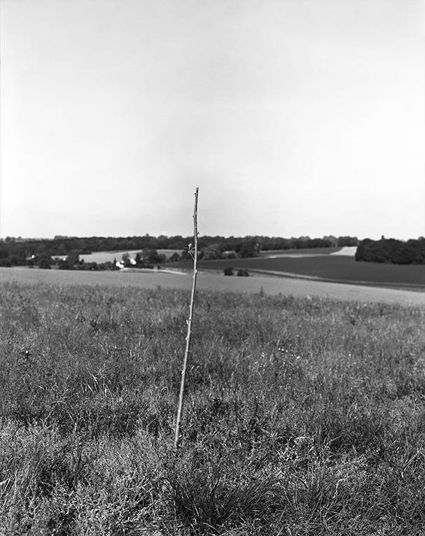 Anna Zvyagintseva, To Plant A Stick, The  Naked Room, Fot. Materiały prasowe