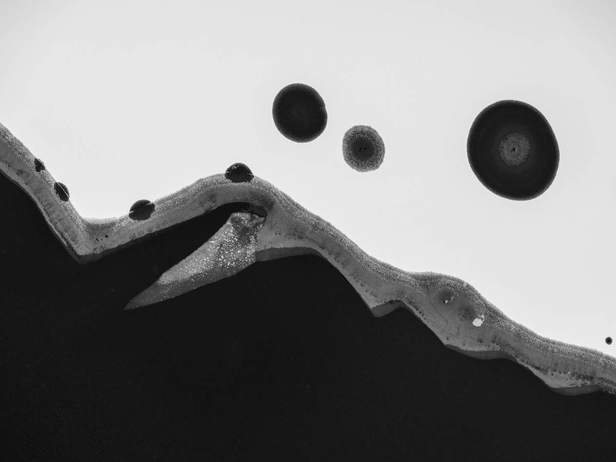 Fot. Kacper Kowalski