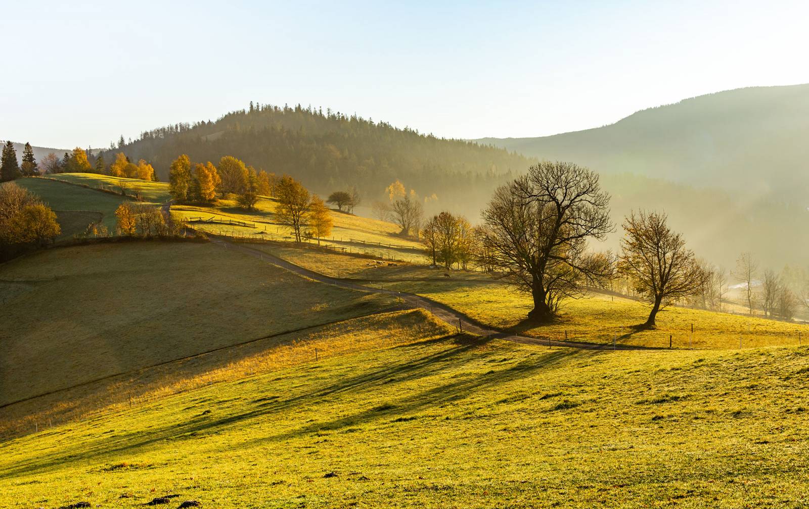 Beskidy / (Fot. Getty Images)